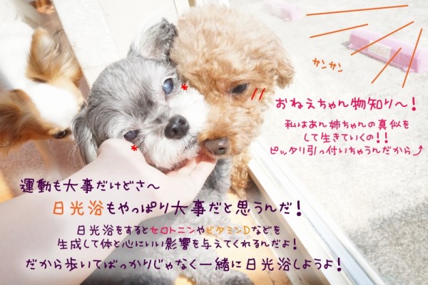 運動は大事だね～