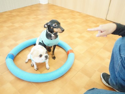 授業の様子♪ 85のサムネイル