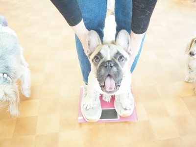 授業の様子♪ 88のサムネイル