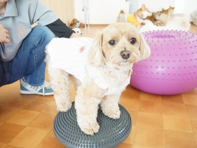 授業の様子♪ 81のサムネイル