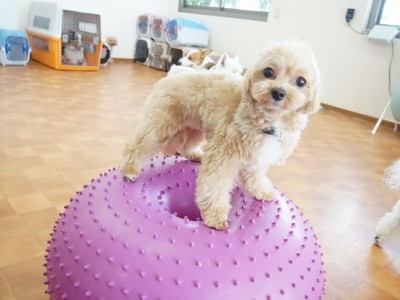 授業の様子♪ 87のサムネイル