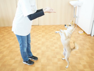 授業の様子♪ 86のサムネイル