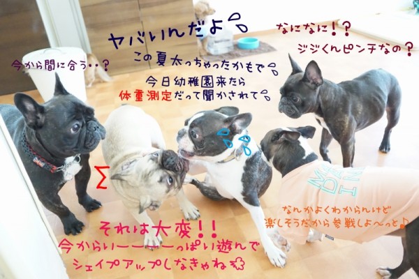 夏の増量にご注意を！