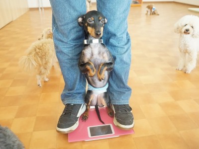 授業の様子♪ 85のサムネイル