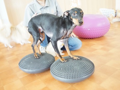 授業の様子♪ 82のサムネイル