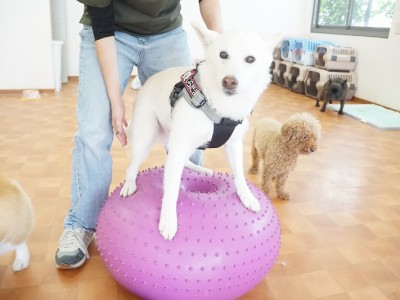 授業の様子♪ 90のサムネイル