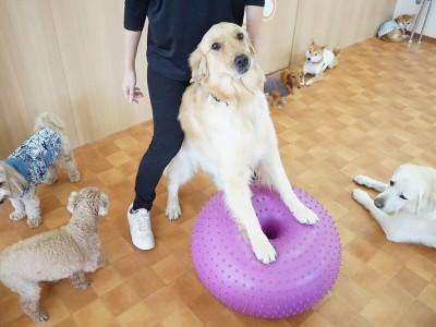 授業の様子♪ 89のサムネイル