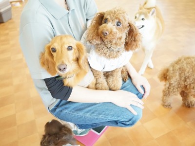 授業の様子♪ 83のサムネイル