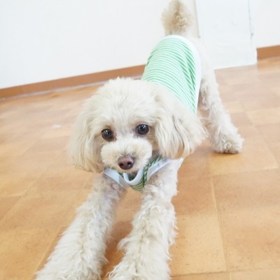 今までの思い出 【92】