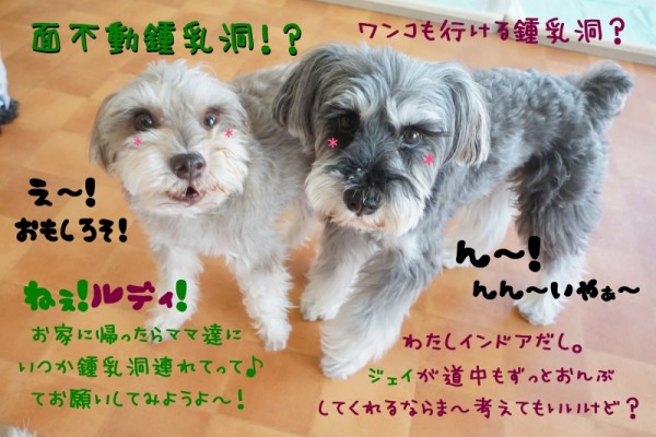 残りの夏もしっかり満喫しよう🌻