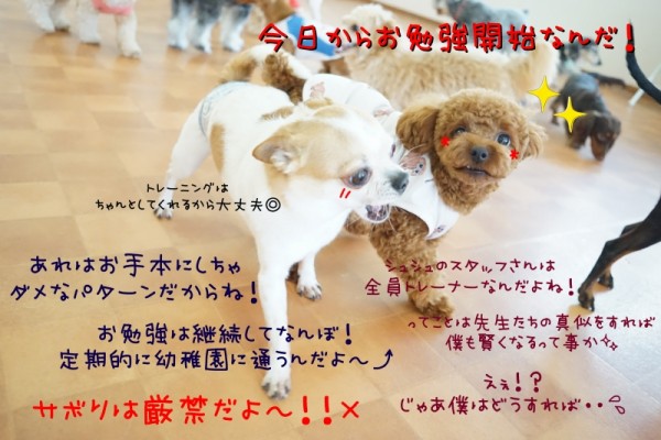 継続は力なり！