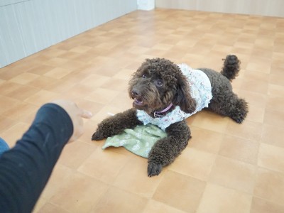 授業の様子♪ 88のサムネイル