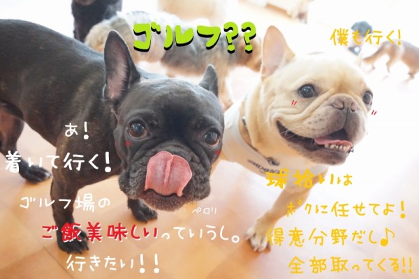 楽しい休日を過ごそうっ🐶🎶