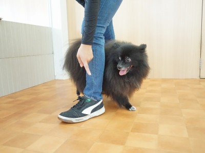 授業の様子♪ 84のサムネイル