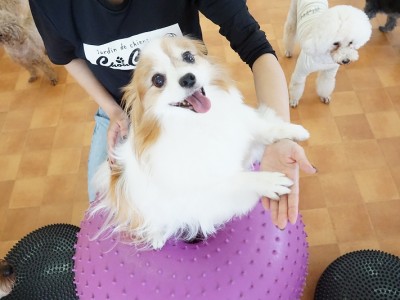 授業の様子♪ 84のサムネイル