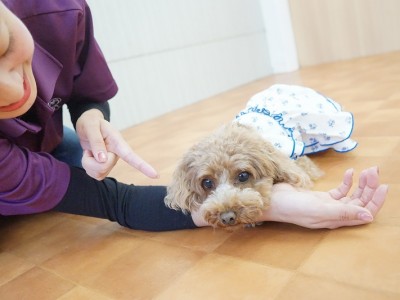 授業の様子♪ 83のサムネイル