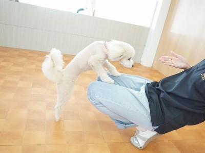 授業の様子♪ 90のサムネイル