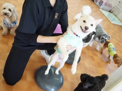 授業の様子♪ 88のサムネイル