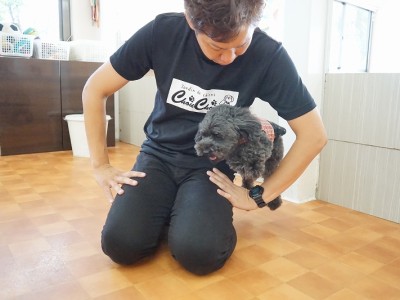 授業の様子♪ 87のサムネイル