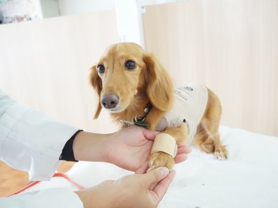 授業の様子♪ 83のサムネイル