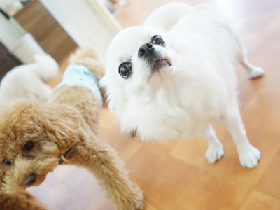 今までの思い出 【94】のサムネイル