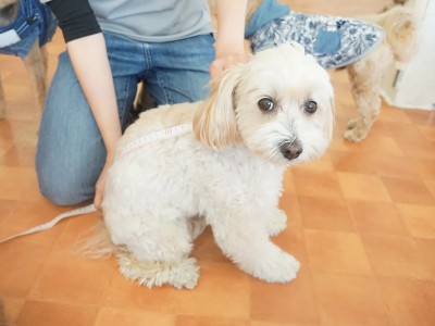 授業の様子♪ 84のサムネイル