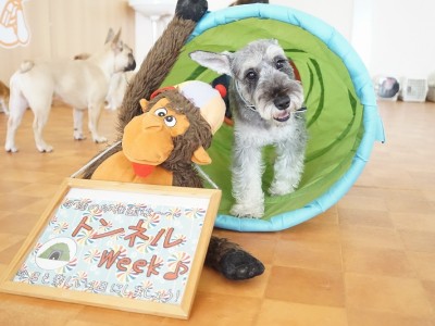 授業の様子♪ 81のサムネイル