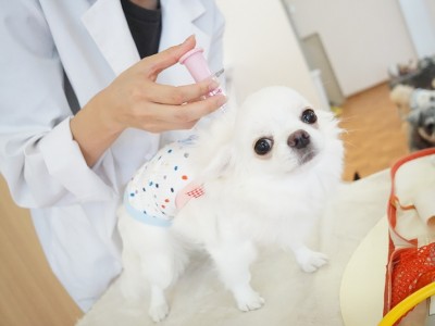 授業の様子♪ 88のサムネイル