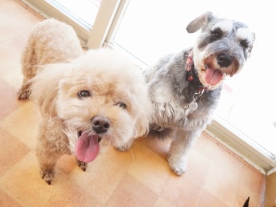 今までの思い出 【93】のサムネイル