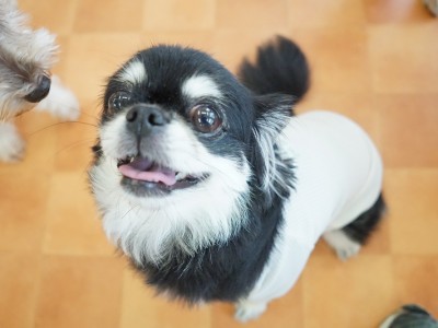 今までの思い出 【93】のサムネイル