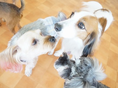 今までの思い出 【93】のサムネイル