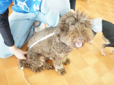 授業の様子♪ 90のサムネイル