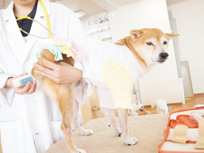 授業の様子♪ 85のサムネイル