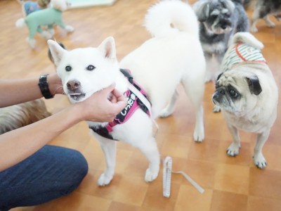 授業の様子♪ 81のサムネイル