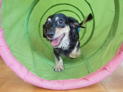 授業の様子♪ 87のサムネイル