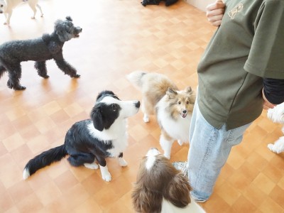 授業の様子♪ 82のサムネイル