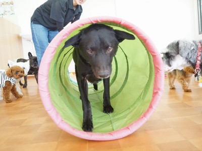 授業の様子♪ 88のサムネイル