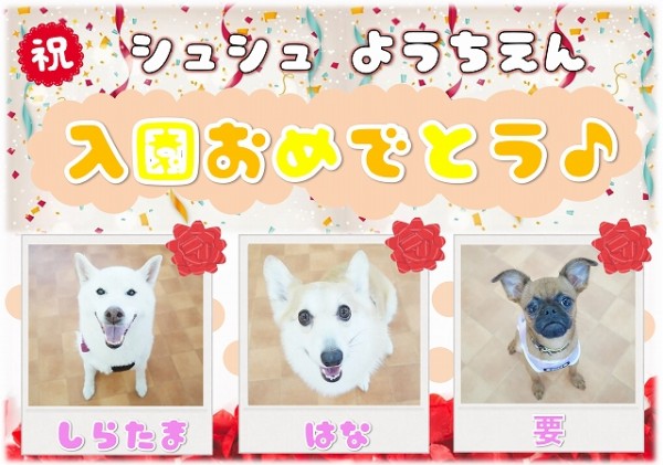 幼稚園新入生のお知らせ ~Vol.98~