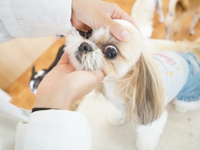 授業の様子♪ 81のサムネイル