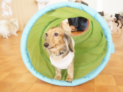 授業の様子♪ 82のサムネイル