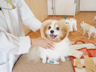 授業の様子♪ 86のサムネイル