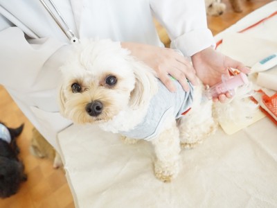 授業の様子♪ 90のサムネイル