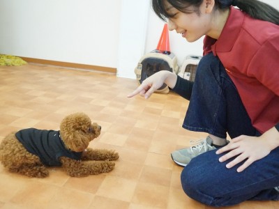 授業の様子♪ 90のサムネイル