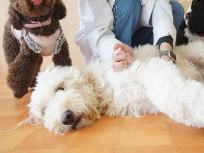 授業の様子♪ 87のサムネイル