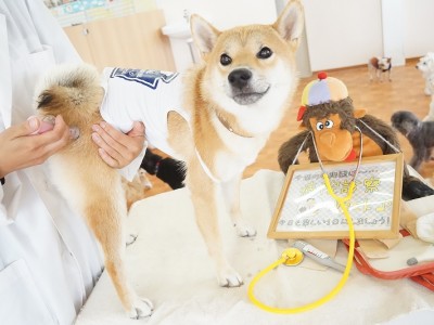 授業の様子♪ 82のサムネイル