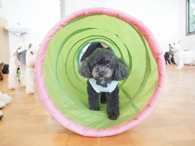 授業の様子♪ 89のサムネイル