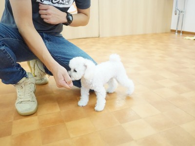 授業の様子♪ 89のサムネイル