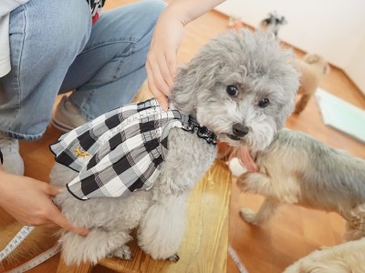 授業の様子♪ 86のサムネイル