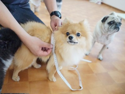 授業の様子♪ 82のサムネイル