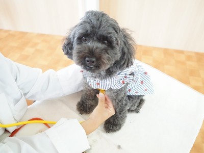 授業の様子♪ 84のサムネイル